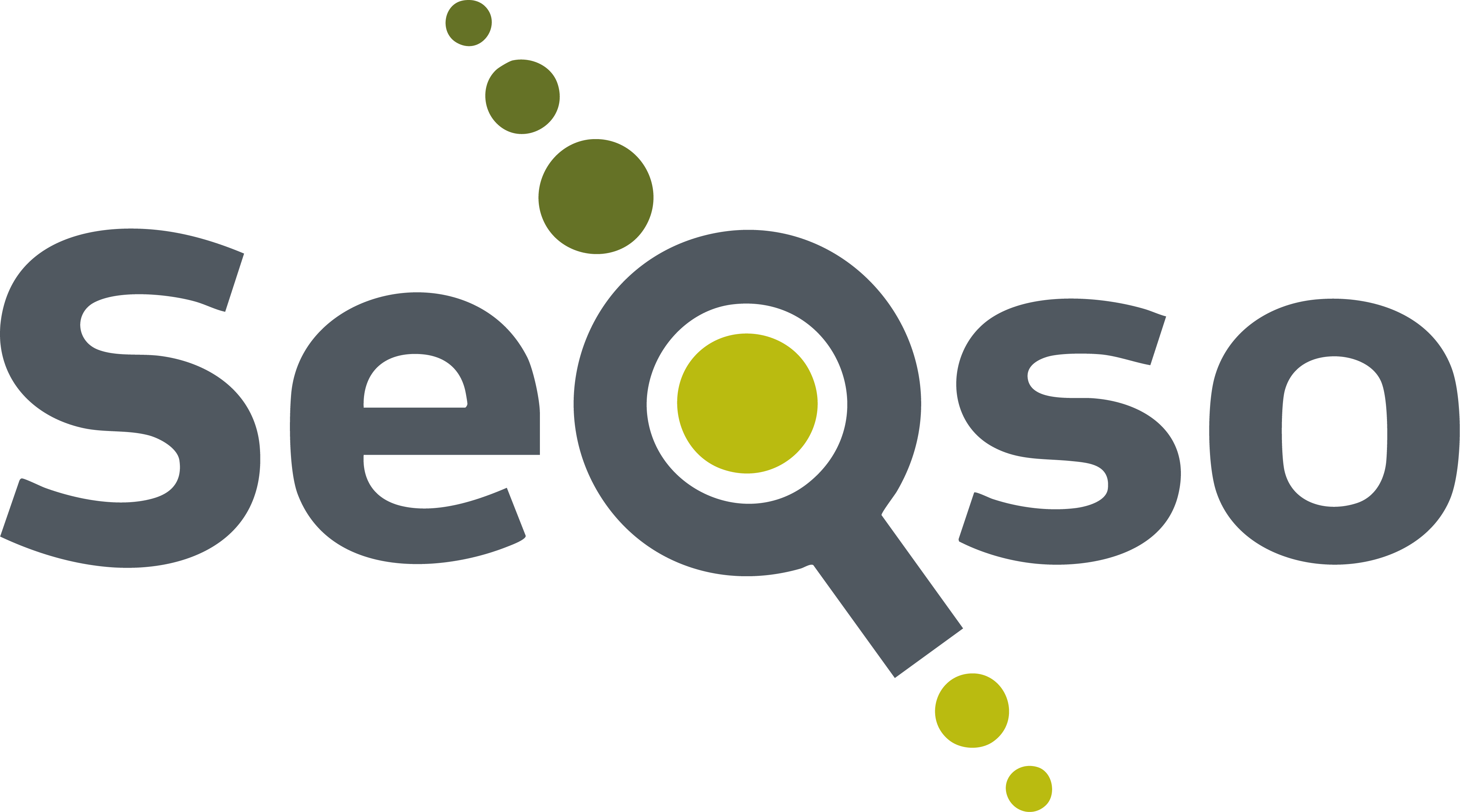 SeQso